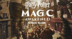 网易《哈利波特：魔法觉醒》：卡牌里的彩蛋，闪回咒还有这样的秘密